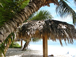 la-digue-island-lodge-5