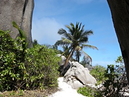 la-digue-source-d-argent-15