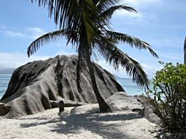 la-digue-source-d-argent-16