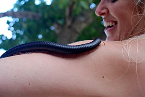 la-digue-source-d-argent-19