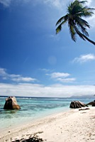 la-digue-source-d-argent-2