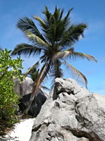 la-digue-source-d-argent-24