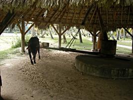 la-digue-state-union-os