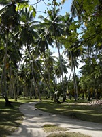 la-digue-state-union