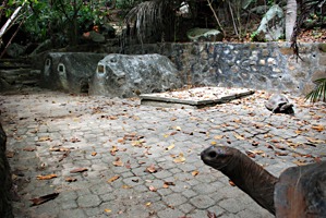 moyenne-begraafplaats