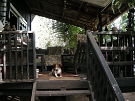 moyenne-brendan-grimshaw-huis