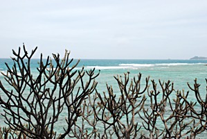 moyenne-doorkijkje-baai-2