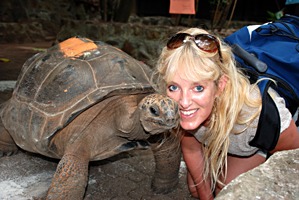 moyenne-schildpad-els-1