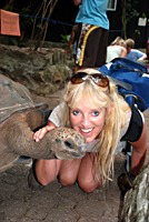 moyenne-schildpad-els-2