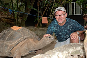 moyenne-schildpad-robert