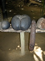 praslin-vallee-de-mai-1