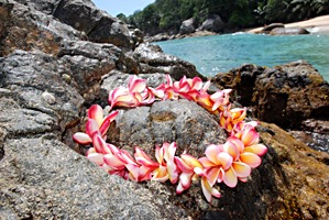 sunset-beach-bloemenkrans