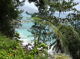 sunset-beach-bomen-strand