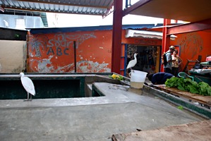 victoria-markt-reigers