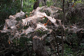 zuid-afrika-blyderivier-waterval-04