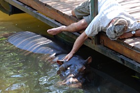 zuid-afrika-jessica-het-tamme-nijlpaard-05