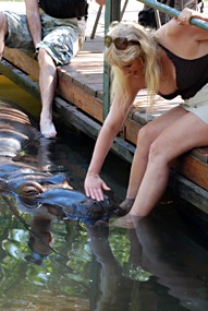 zuid-afrika-jessica-het-tamme-nijlpaard-09