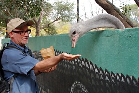 zuid-afrika-khamai-reptielencentrum-07