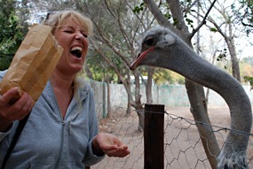 zuid-afrika-khamai-reptielencentrum-08