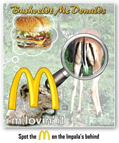 zuid-afrika-krugerpark-dieren-impala-mcdonalds