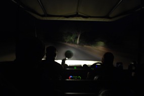 zuid-afrika-krugerpark-gamedrive-03