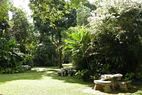 zuid-afrika-krugerpark-garden-of-eden-03