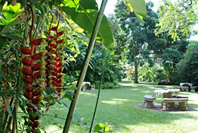 zuid-afrika-krugerpark-garden-of-eden-04