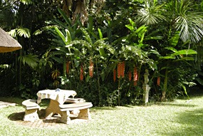 zuid-afrika-krugerpark-garden-of-eden-05