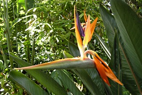 zuid-afrika-krugerpark-garden-of-eden-07