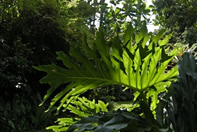 zuid-afrika-krugerpark-garden-of-eden-08