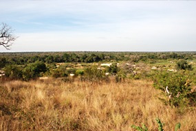 zuid-afrika-krugerpark-landschap-01