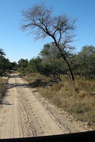 zuid-afrika-krugerpark-landschap-02