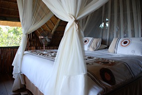 zuid-afrika-krugerpark-pezulu-04