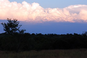 zuid-afrika-krugerpark-pezulu-07