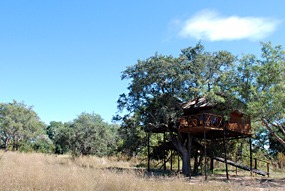 zuid-afrika-krugerpark-pezulu-14
