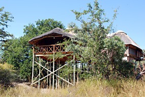 zuid-afrika-krugerpark-pezulu-16