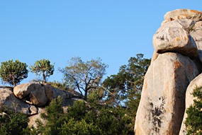 zuid-afrika-krugerpark-rotsen-01
