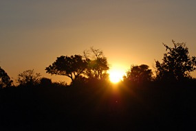 zuid-afrika-krugerpark-sundowner-01
