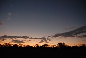 zuid-afrika-krugerpark-sundowner-02