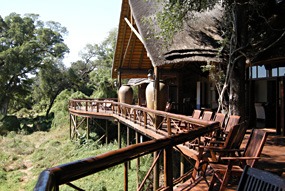 zuid-afrika-krugerpark-tinga-narina-02