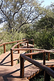 zuid-afrika-krugerpark-tinga-narina-06