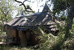 zuid-afrika-krugerpark-tinga-narina-07