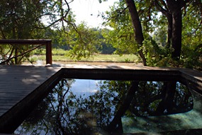 zuid-afrika-krugerpark-tinga-narina-10