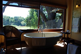 zuid-afrika-krugerpark-tinga-narina-12