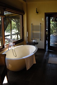 zuid-afrika-krugerpark-tinga-narina-13