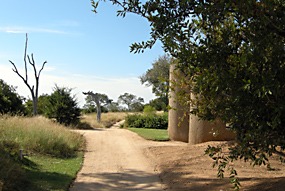 zuid-afrika-sabi-sabi-01