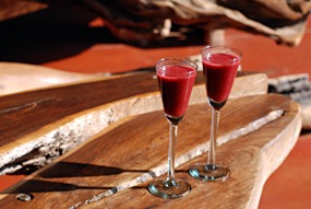 zuid-afrika-sabi-sabi-08