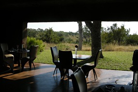 zuid-afrika-sabi-sabi-12