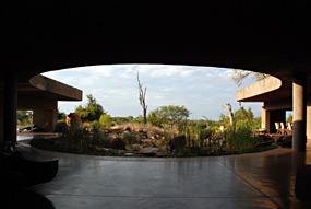 zuid-afrika-sabi-sabi-earth-lodge-06